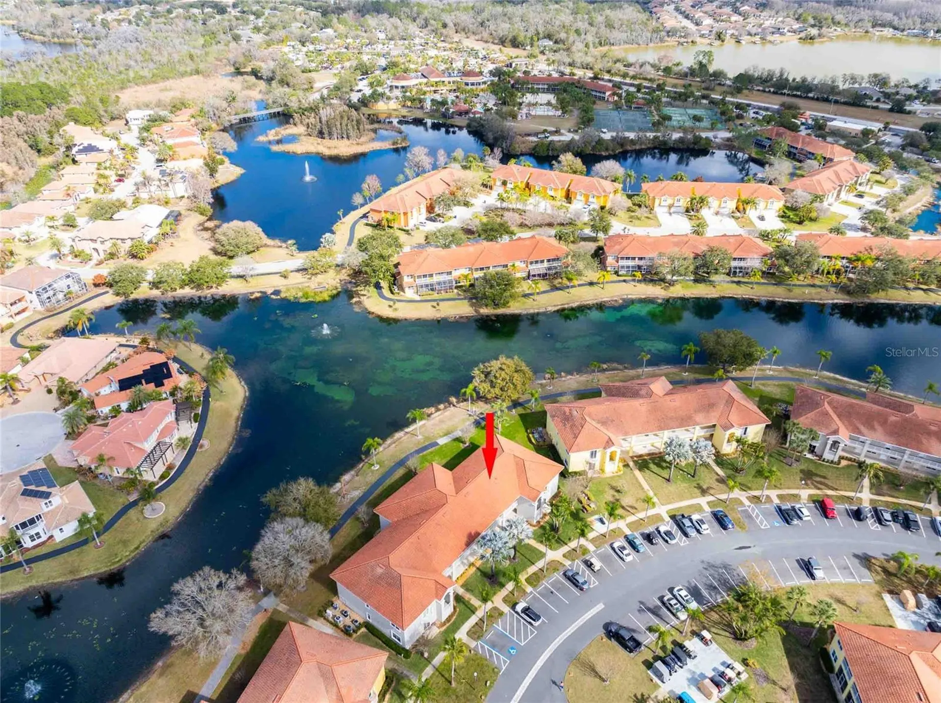 6808 Dali Avenue Land O Lakes FL 34637