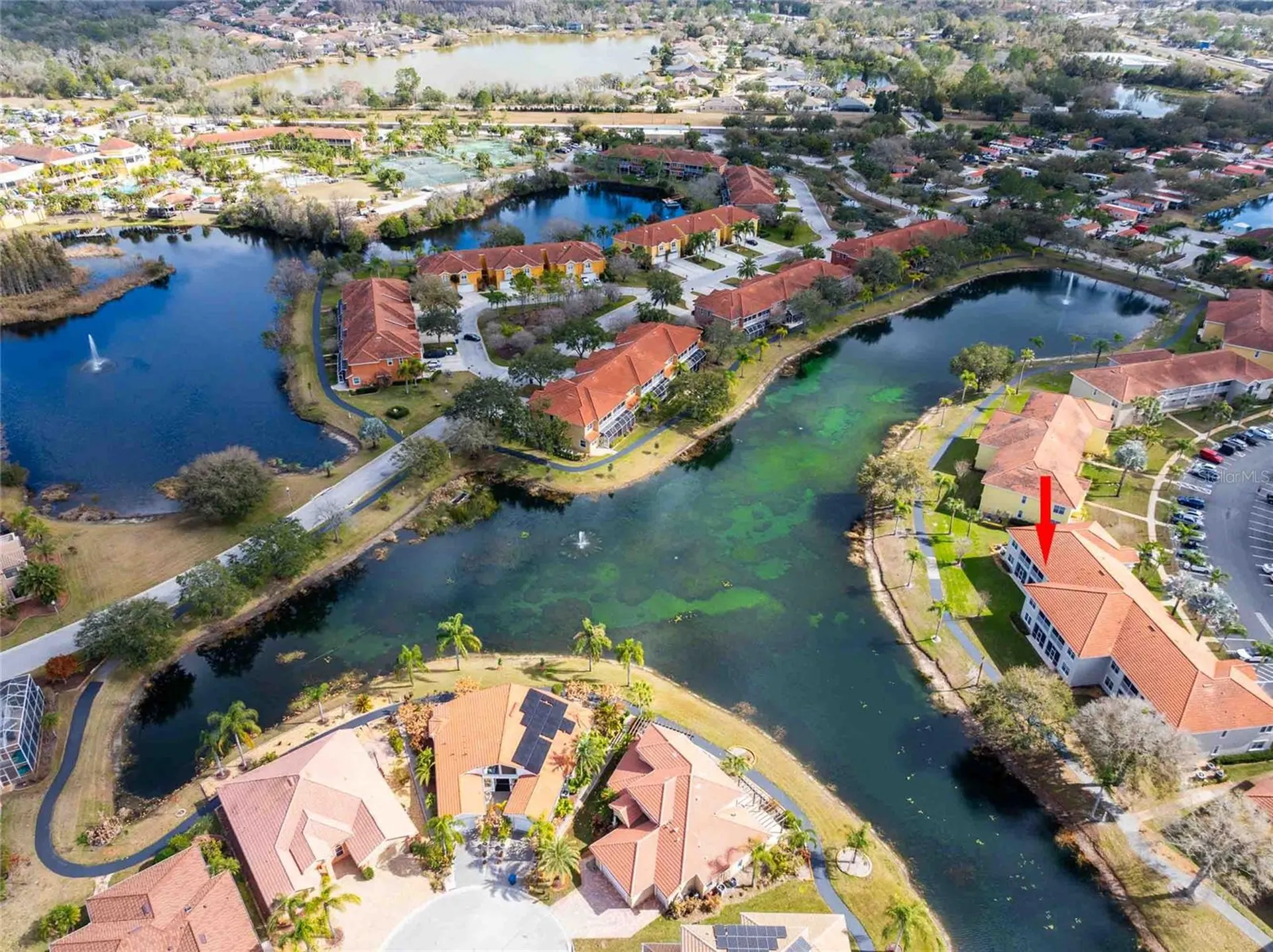 6808 Dali Avenue Land O Lakes FL 34637