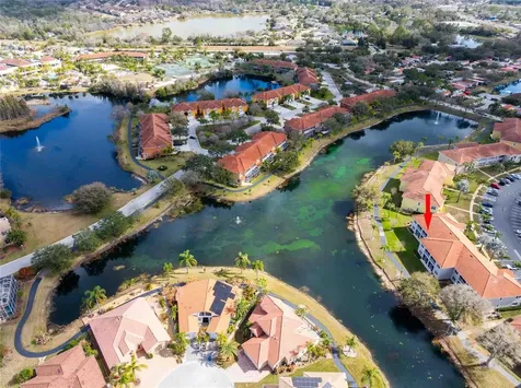6808 Dali Avenue Land O Lakes FL 34637