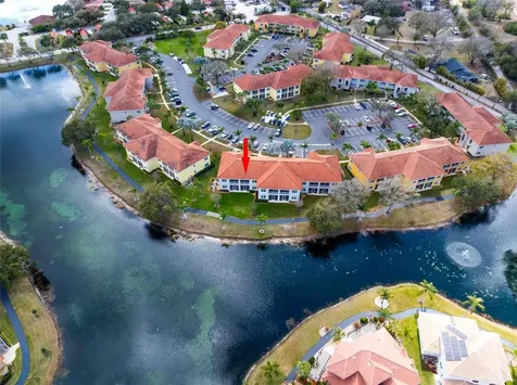 6808 Dali Avenue Land O Lakes FL 34637