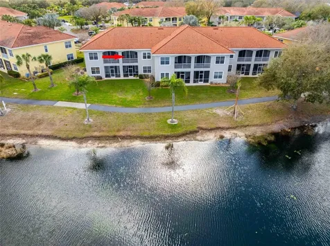 6808 Dali Avenue Land O Lakes FL 34637
