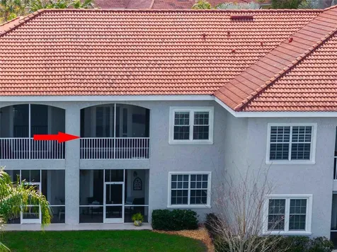 6808 Dali Avenue Land O Lakes FL 34637