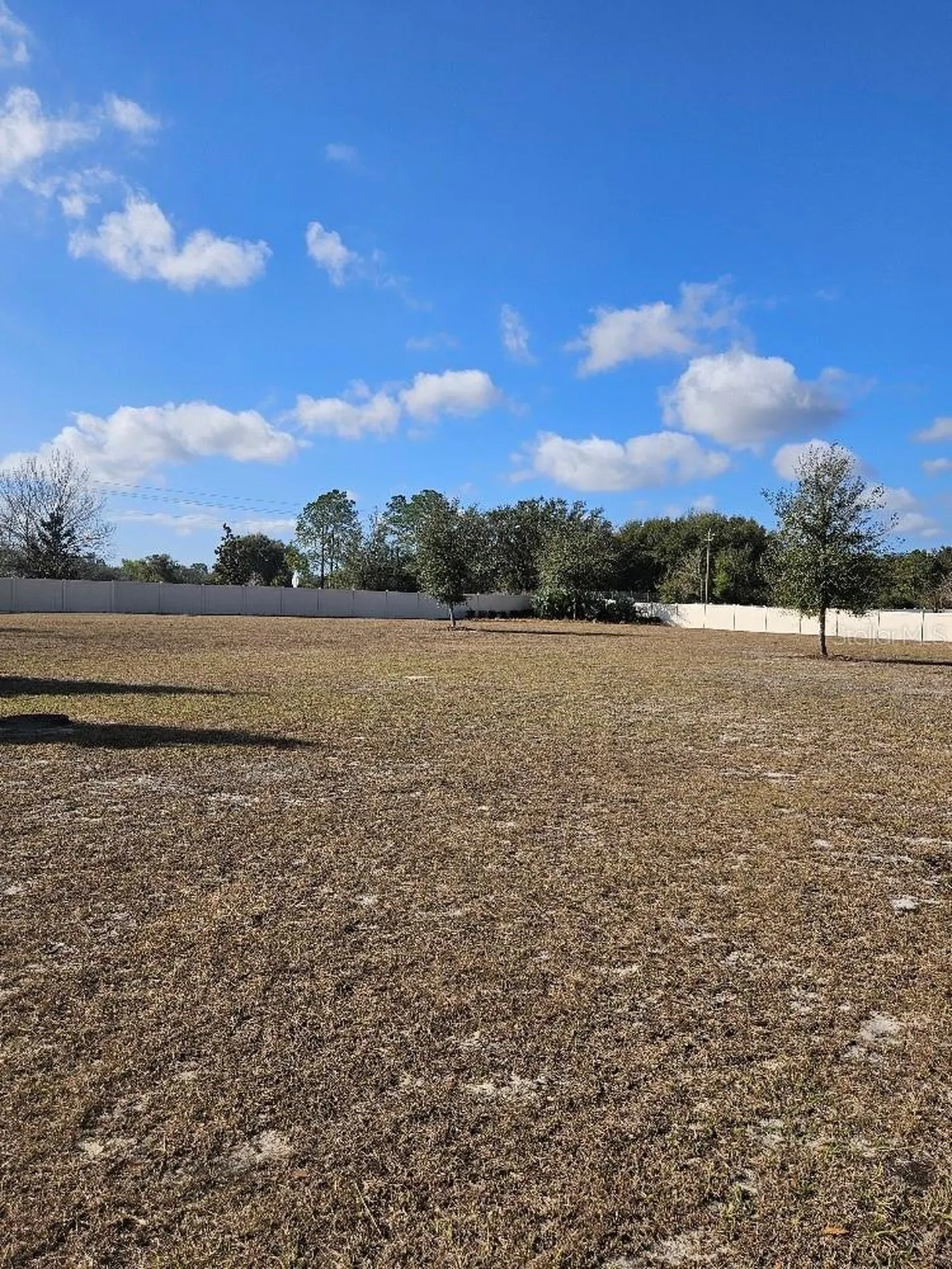 25118 Lambrusco Loop Lutz FL 33559
