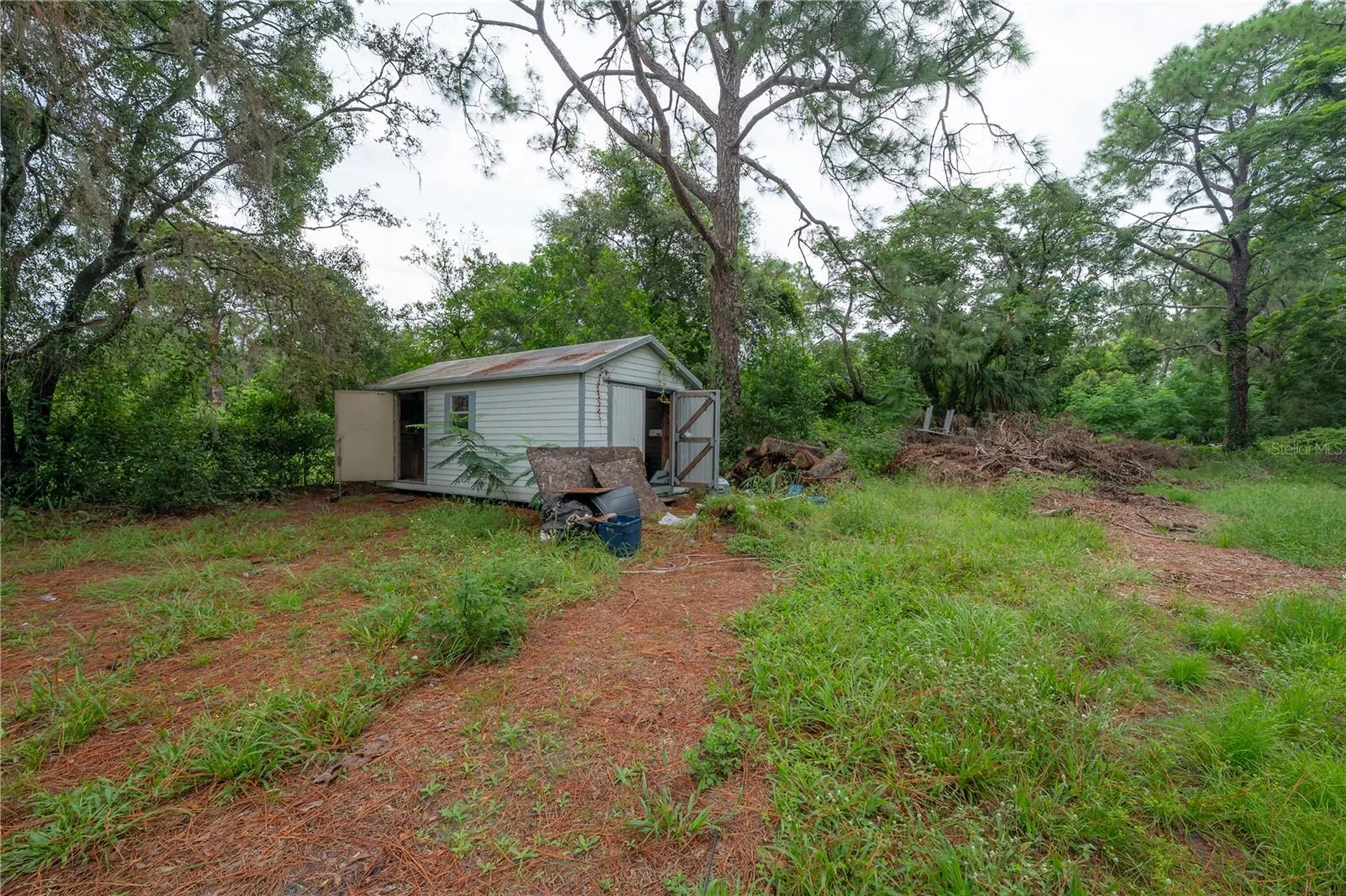 10411 1/2 N Woodmere Road Tampa FL 33617