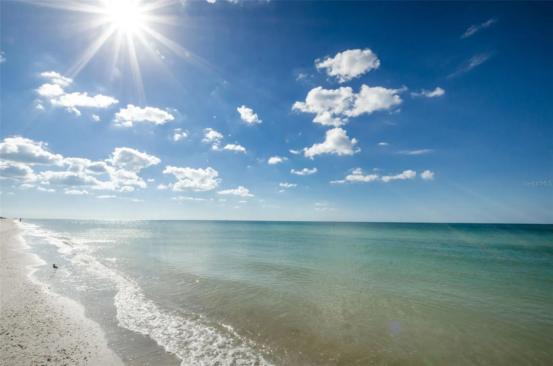 1460 Gulf Boulevard Clearwater FL 33767