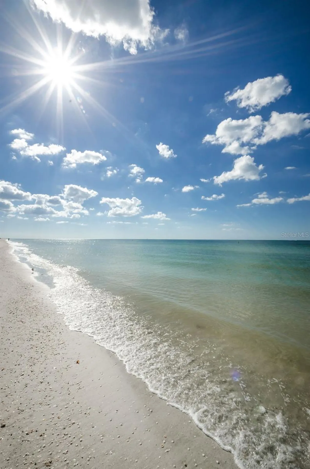1460 Gulf Boulevard Clearwater FL 33767