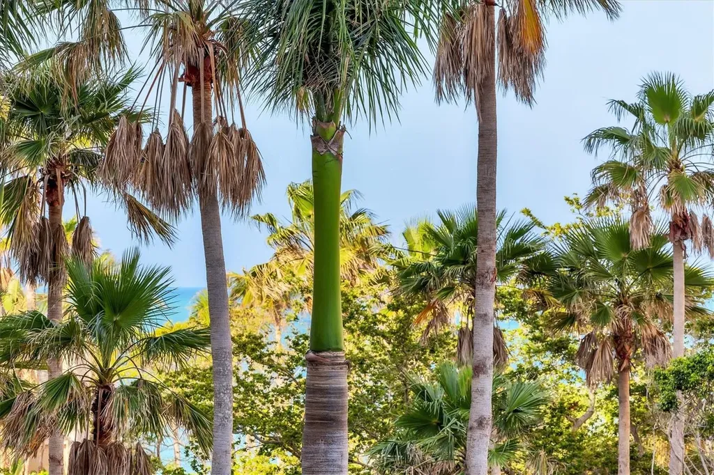 1300 Benjamin Franklin Drive Sarasota FL 34236
