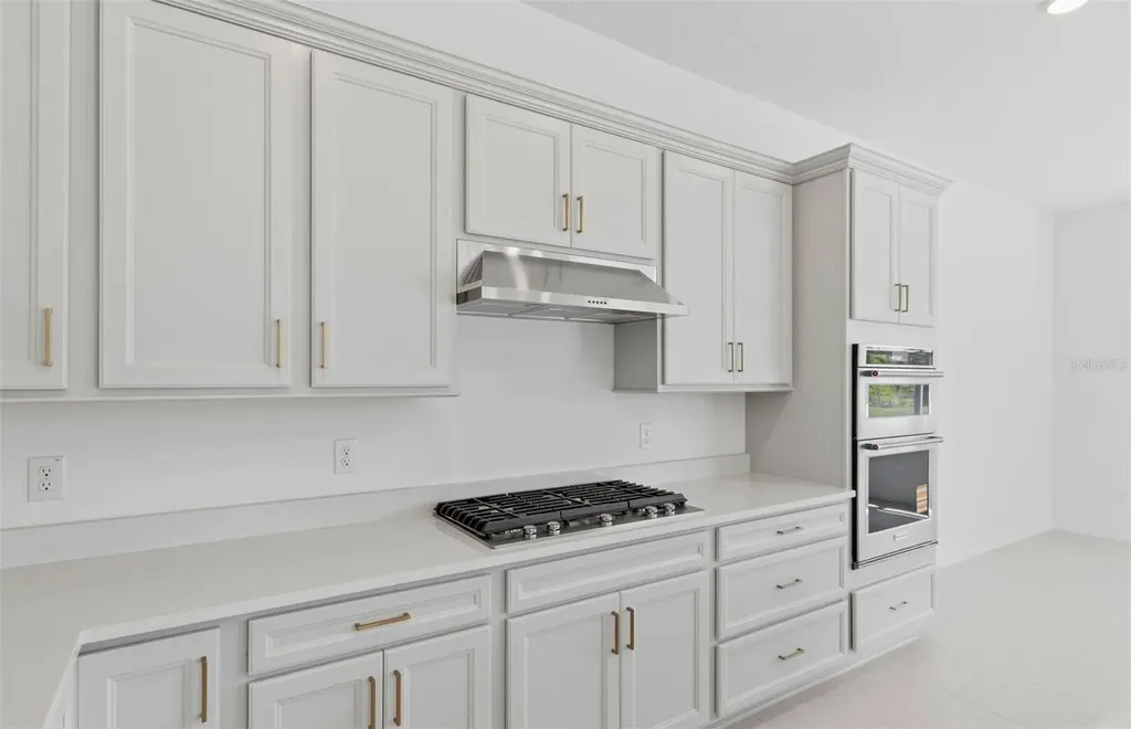 7046 Depue Drive Wesley Chapel FL 33545