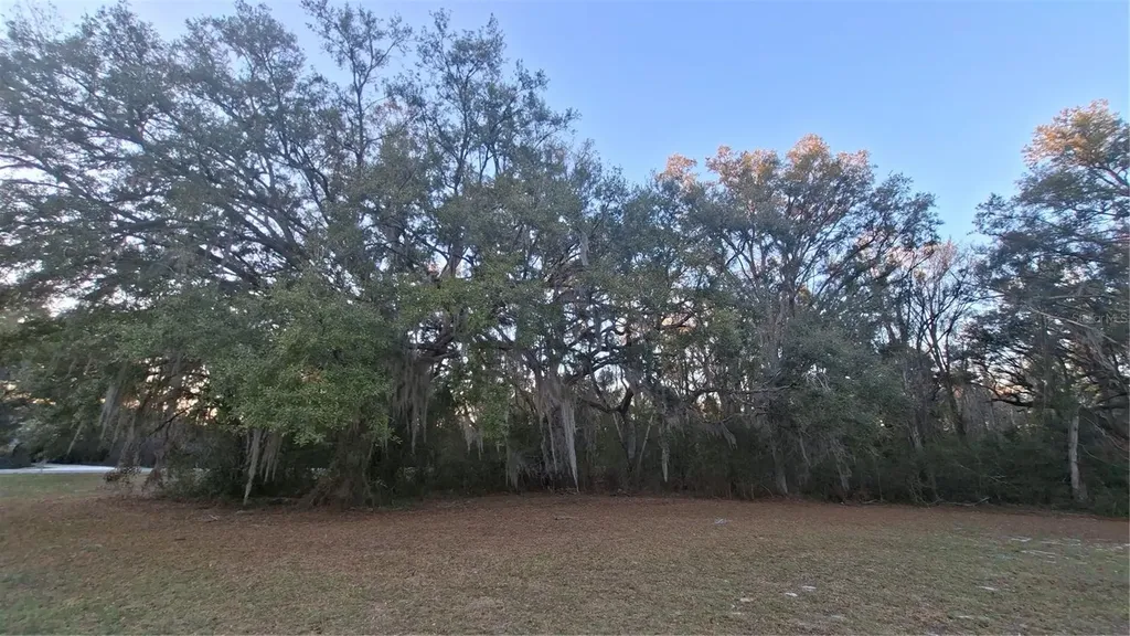 3289 NE County Road 340 High Springs FL 32643