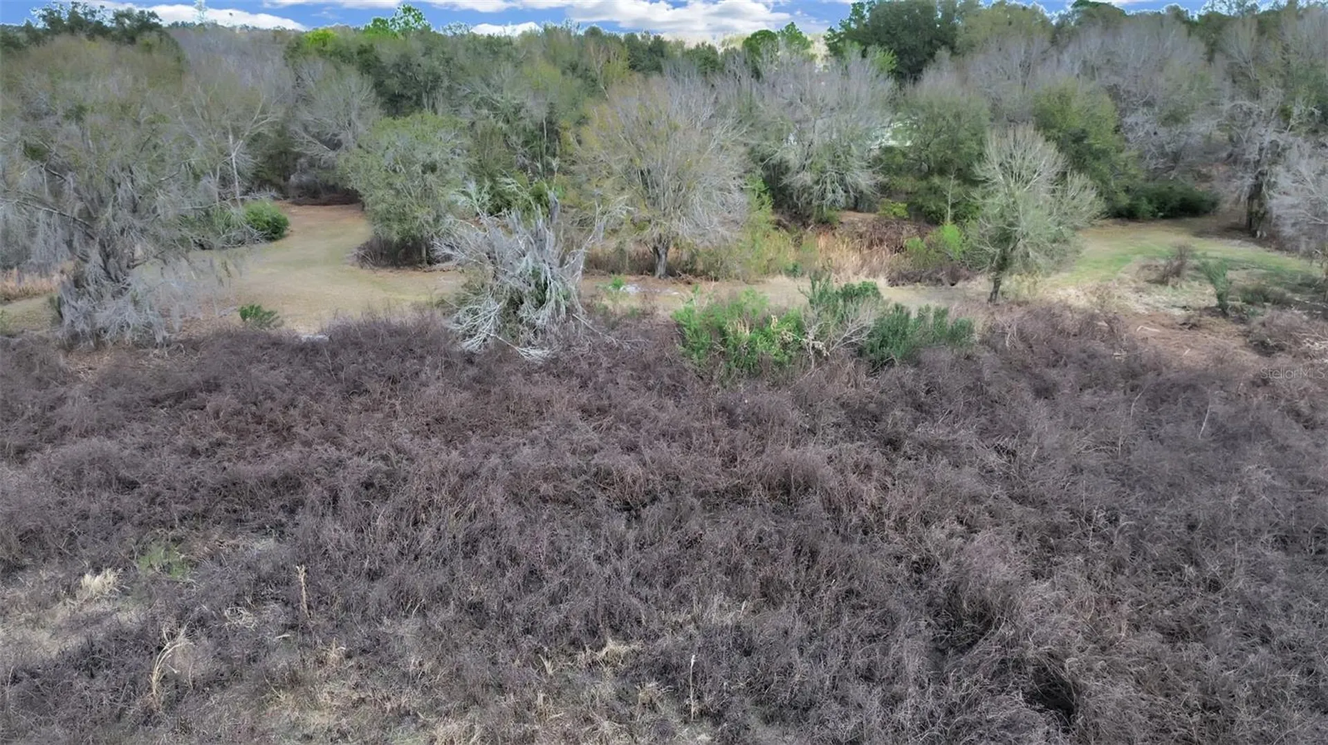 9924 Art Acres Road Dover FL 33527
