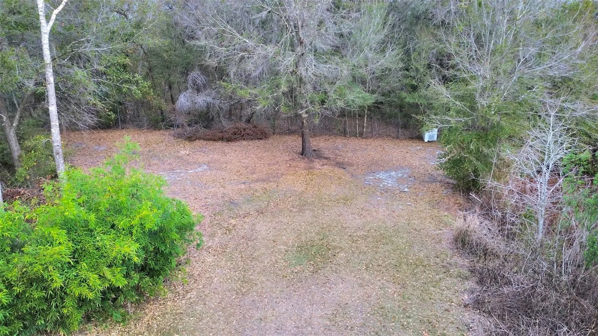 9924 Art Acres Road Dover FL 33527
