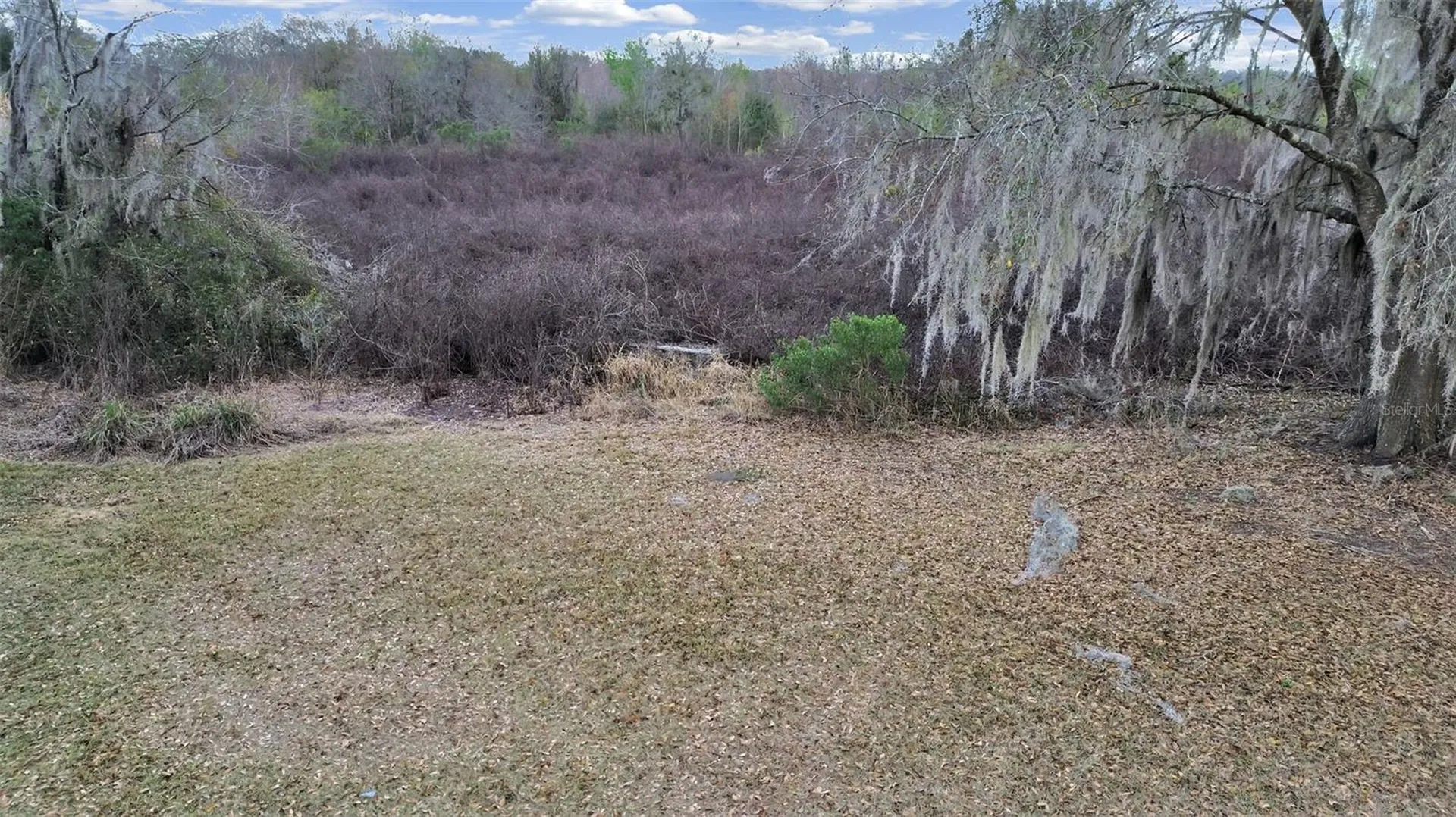 9924 Art Acres Road Dover FL 33527