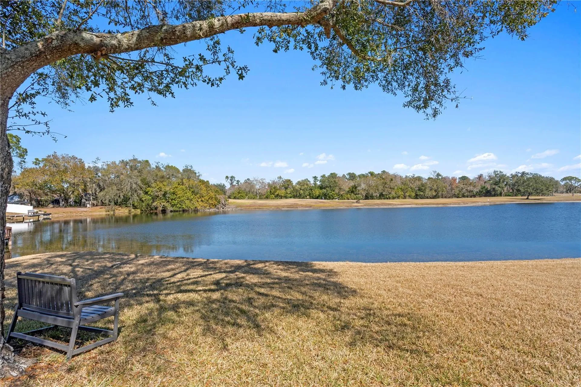 4302 Faircourt Drive Valrico FL 33596