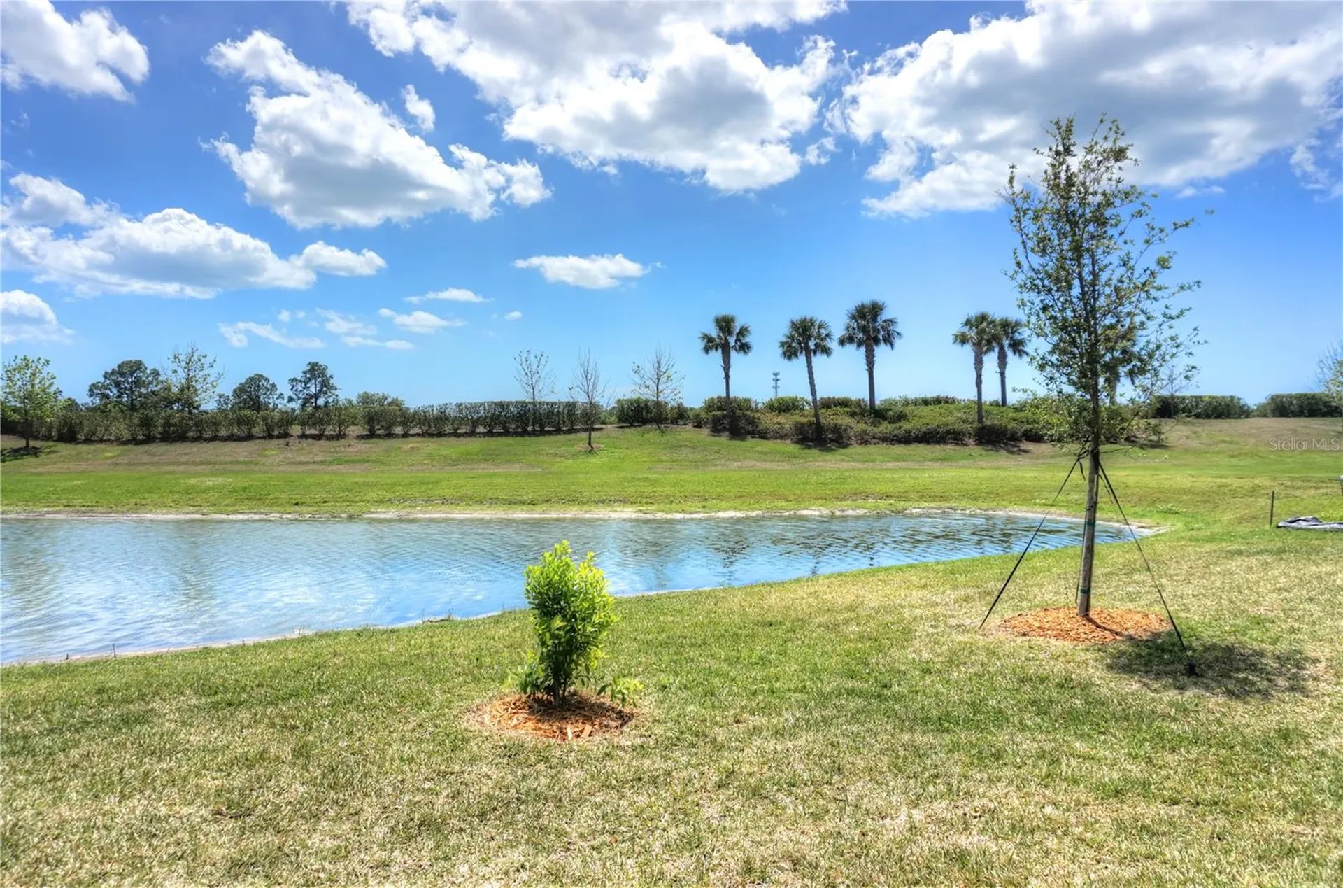24273 Spartina Drive Venice FL 34293