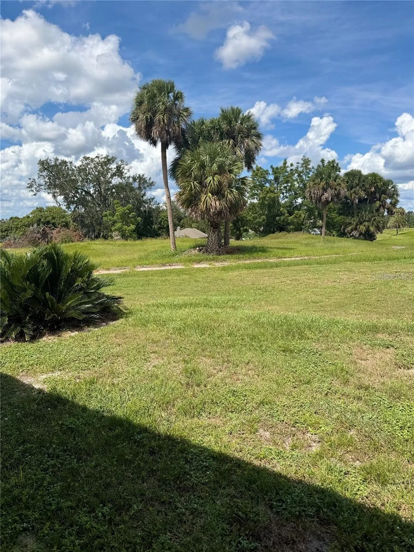 701 White Ivey Court Apopka FL 32712