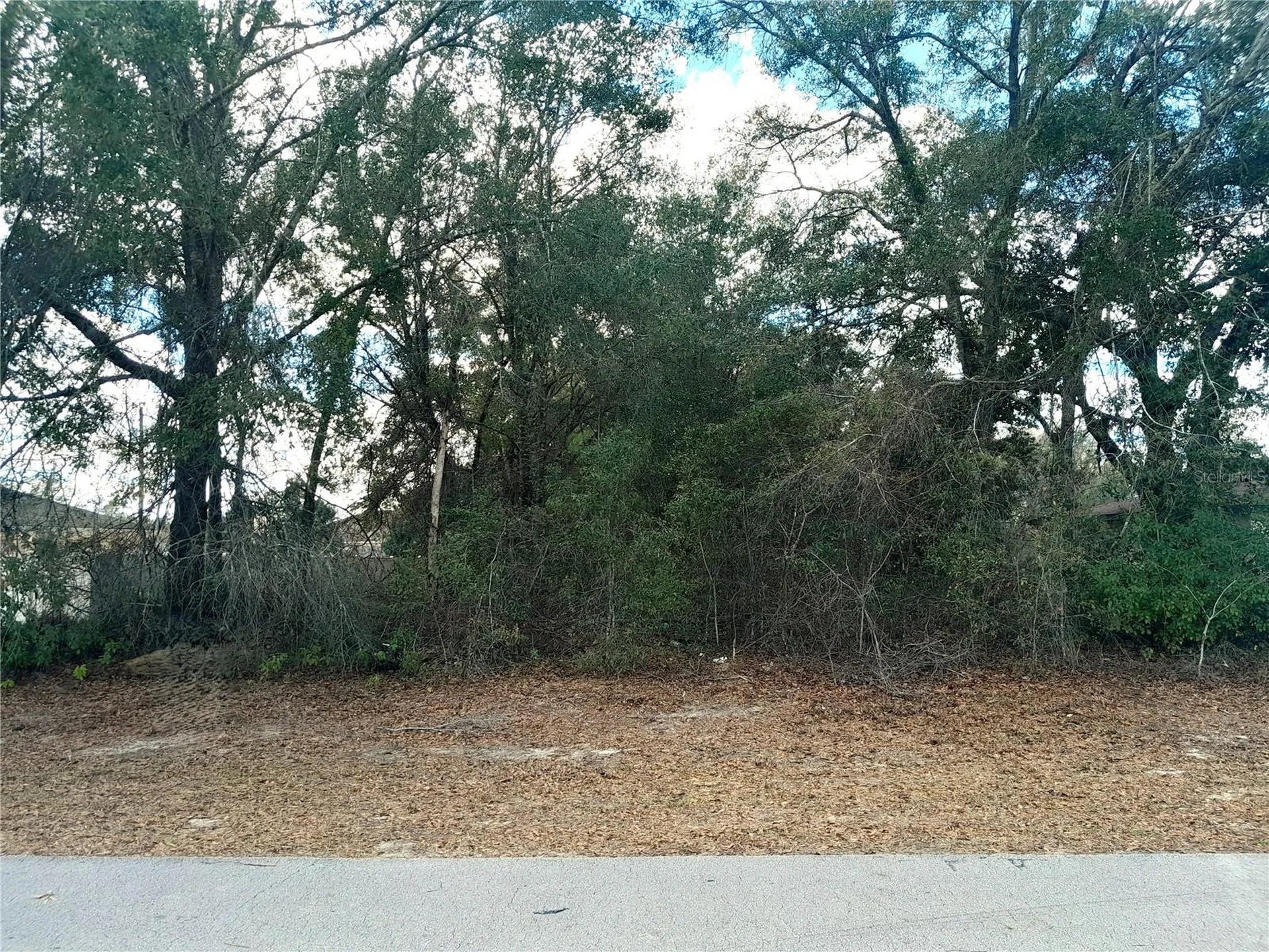 00 SW 28 Terrace Road Ocala FL 34473