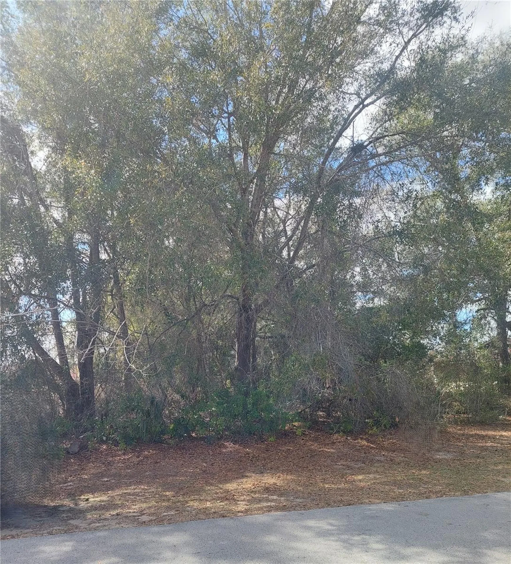 00 SW 28 Terrace Road Ocala FL 34473