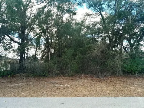 00 SW 28 Terrace Road Ocala FL 34473