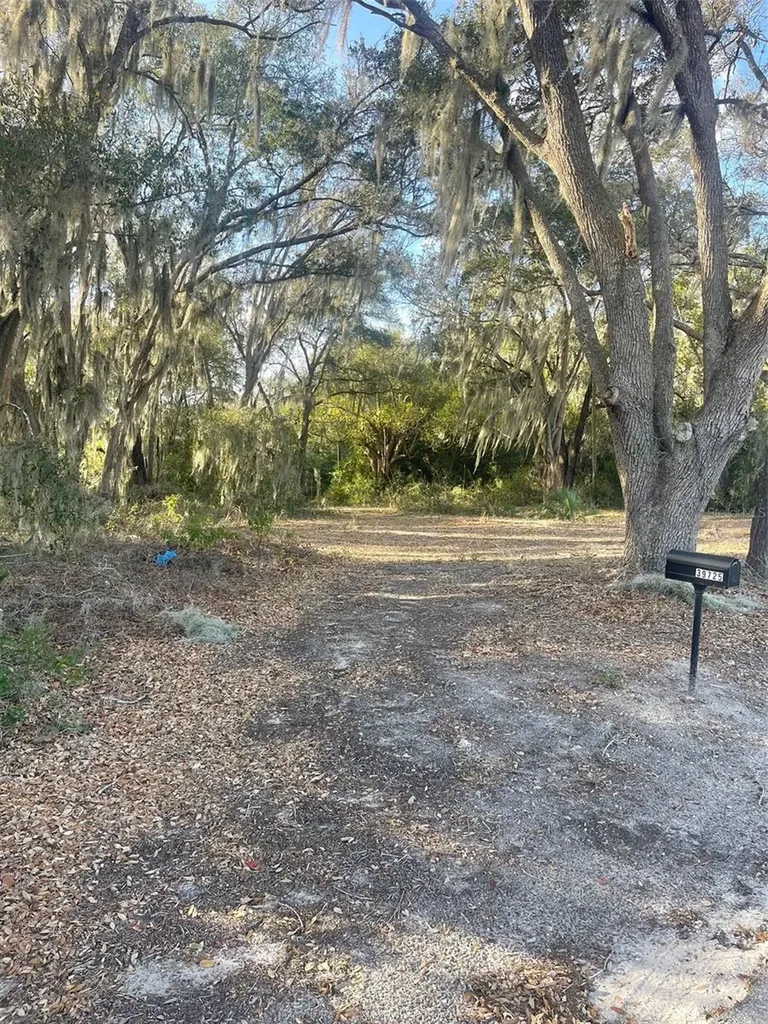 39725 Clay Avenue N Lady Lake FL 32159