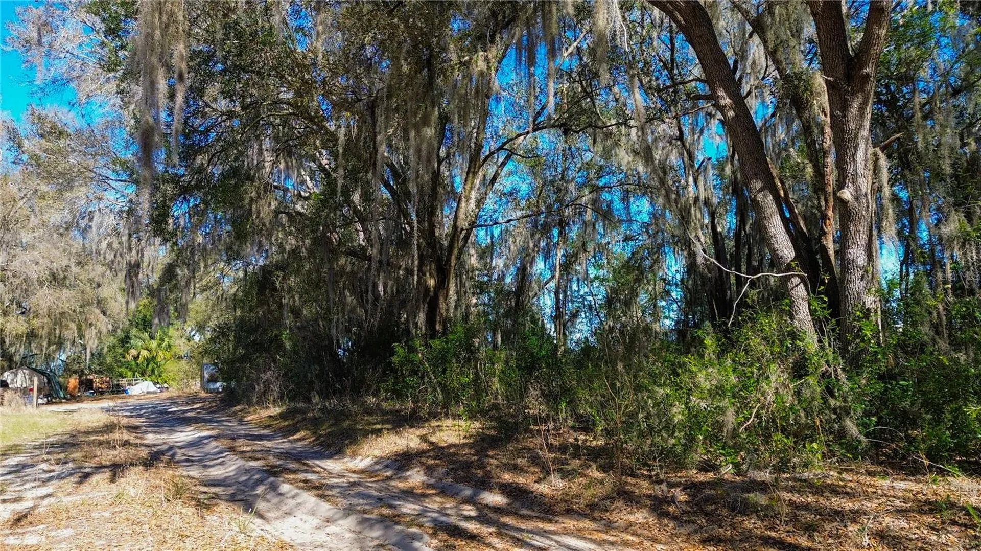 39725 Clay Avenue N Lady Lake FL 32159