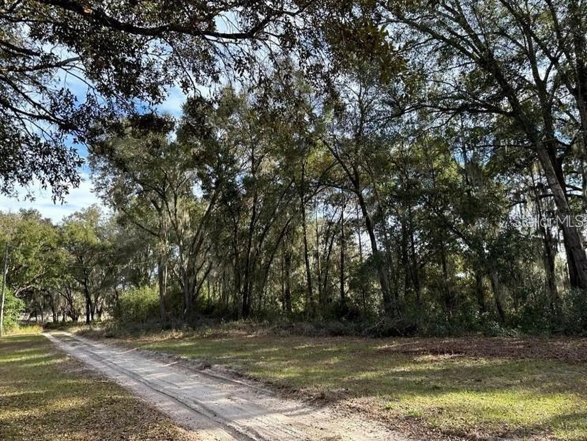 39725 Clay Avenue N Lady Lake FL 32159