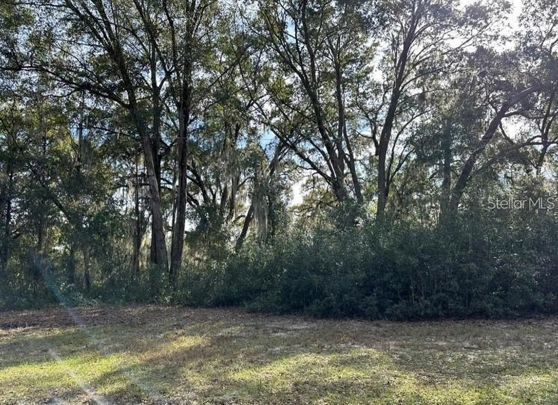 39725 Clay Avenue N Lady Lake FL 32159