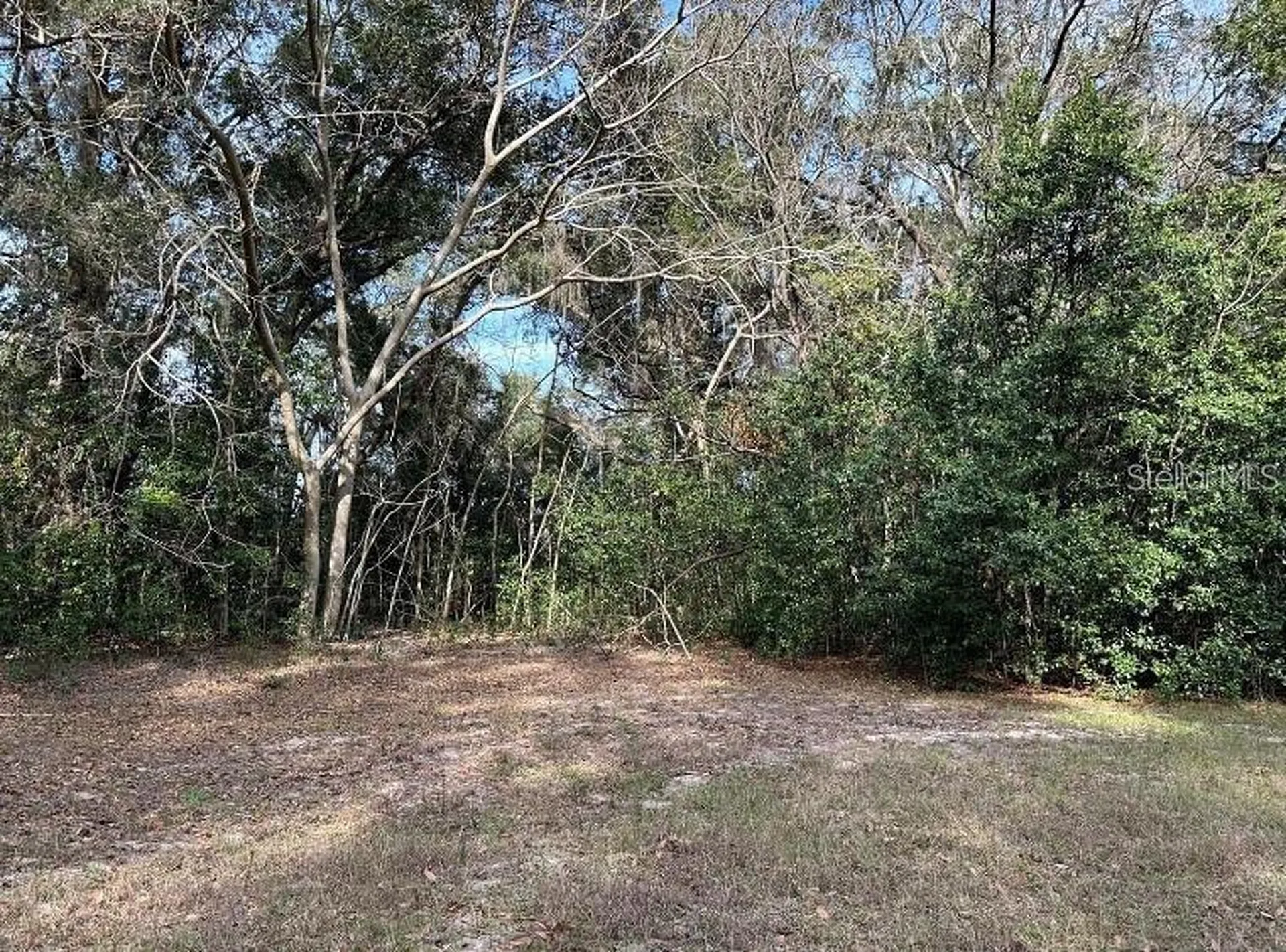 39725 Clay Avenue N Lady Lake FL 32159