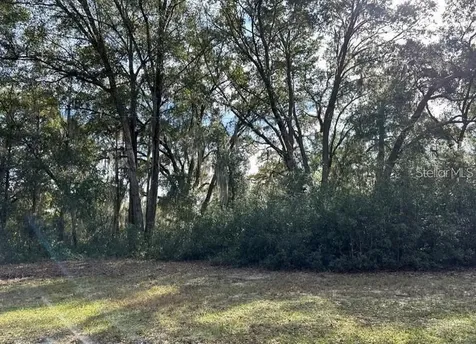 39725 Clay Avenue N Lady Lake FL 32159