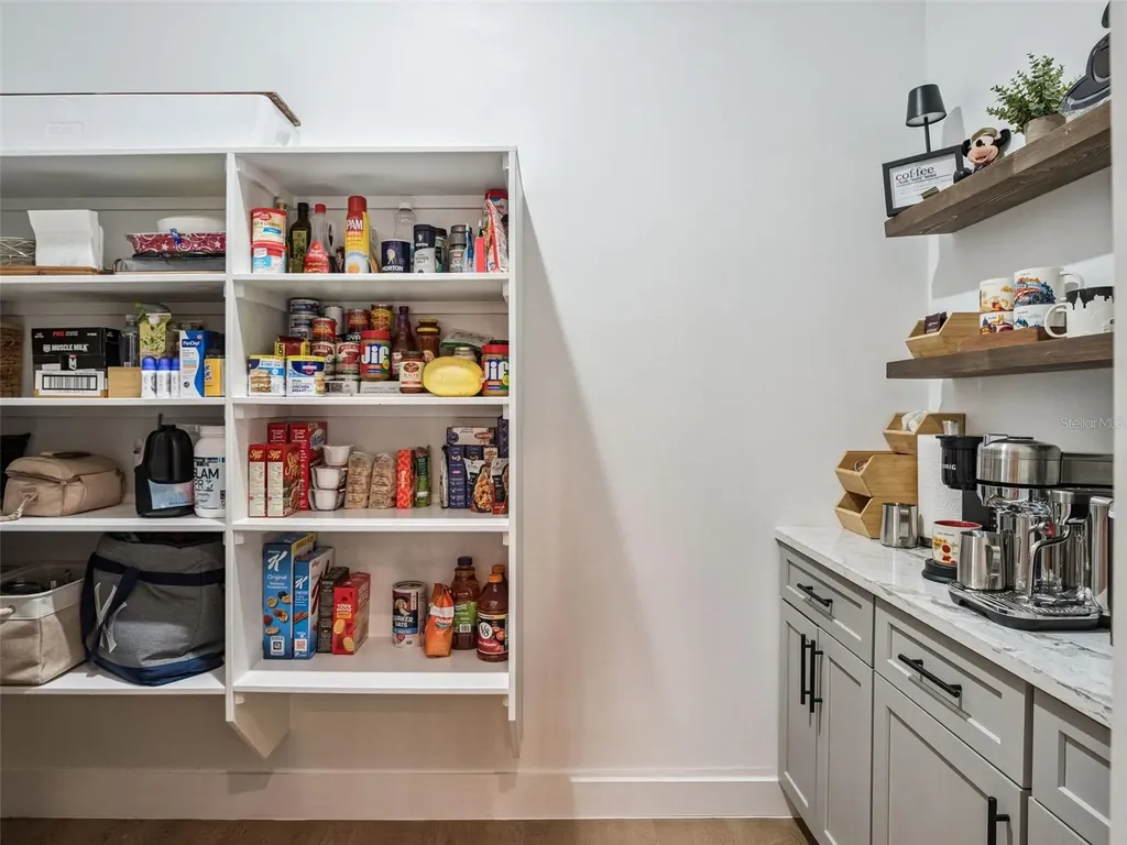 16922 Apopka Springs Boulevard Montverde FL 34756