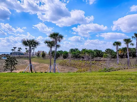 1599 Bellagio Loop Tavares FL 32778