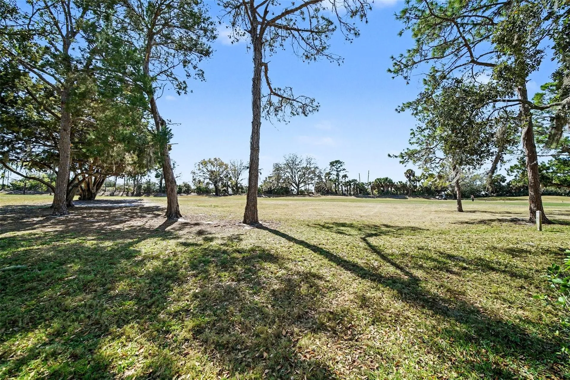 9124 Bassett Lane New Port Richey FL 34655