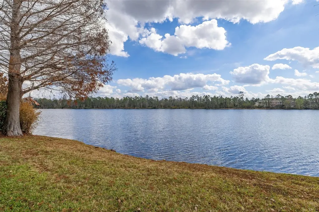 9484 Walnut Crest Drive Orlando FL 32832