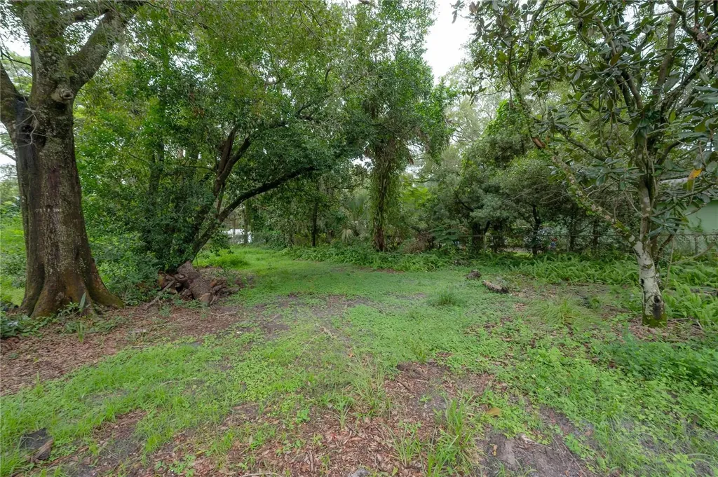 10411 N Woodmere Road Tampa FL 33617