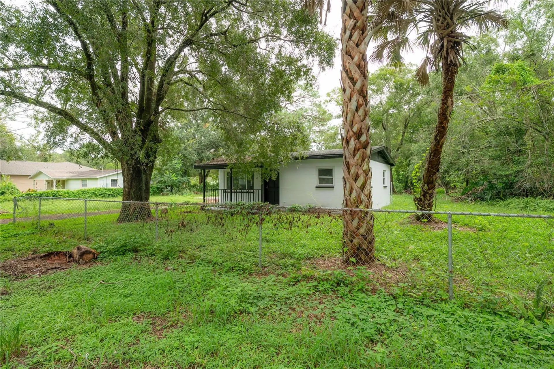 10411 N Woodmere Road Tampa FL 33617