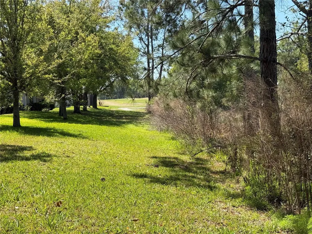 26815 White Plains Way Leesburg FL 34748