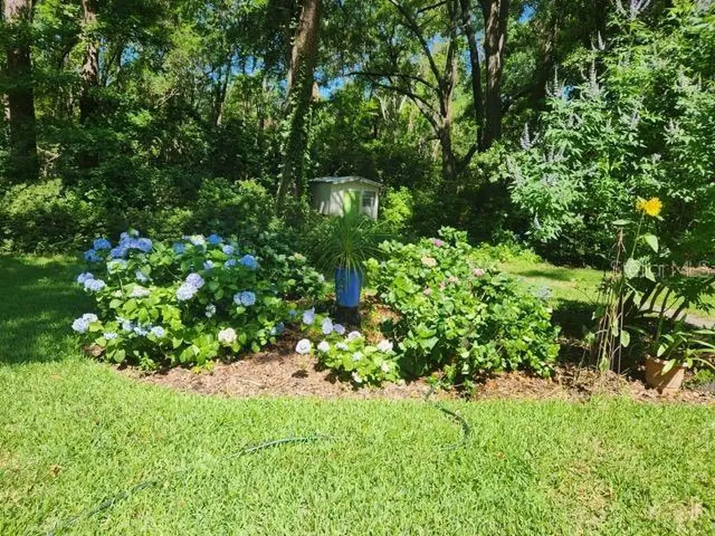 412 NW 46th Street Gainesville FL 32607
