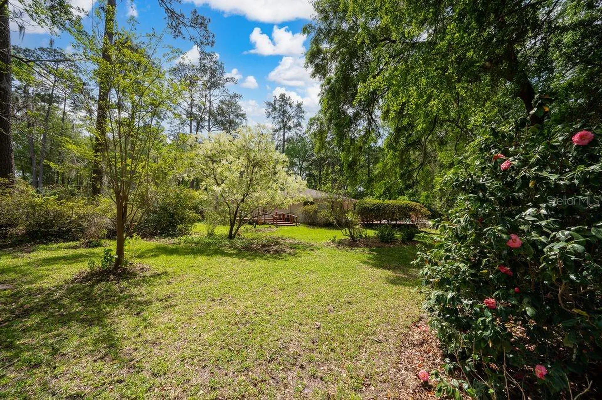 412 NW 46th Street Gainesville FL 32607