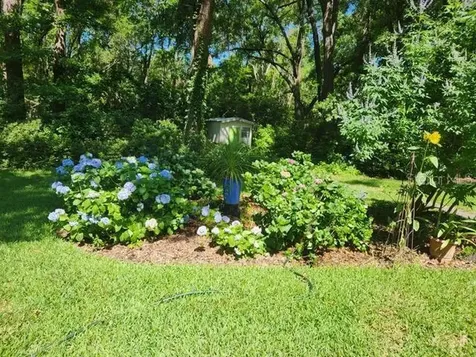 412 NW 46th Street Gainesville FL 32607