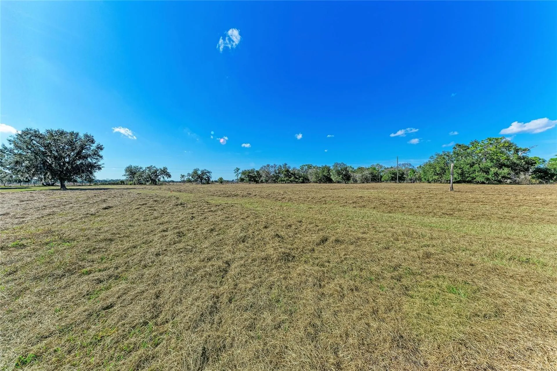 Lena Lane Sarasota FL 34240