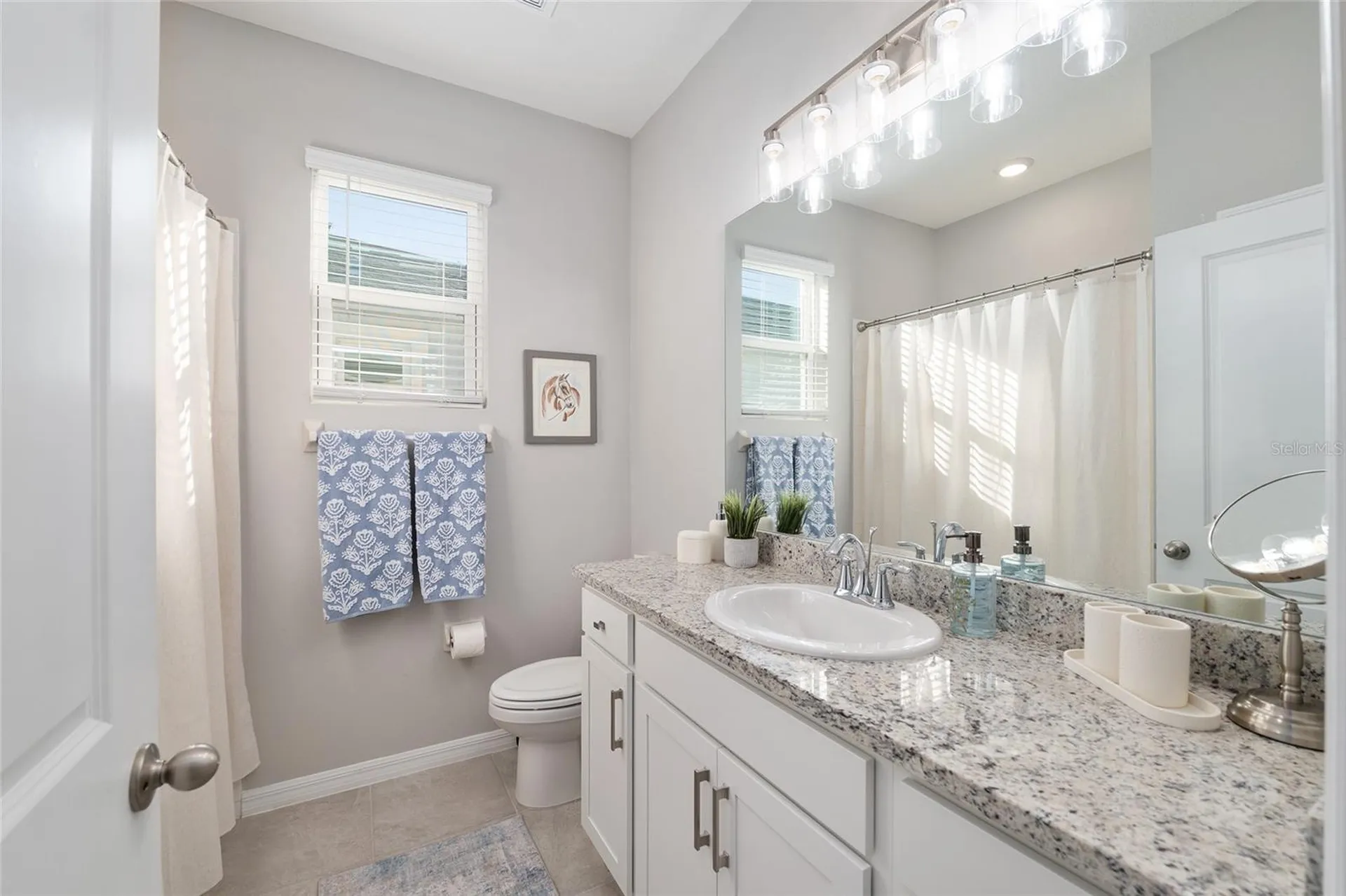 5293 NW 48th Place Ocala FL 34482