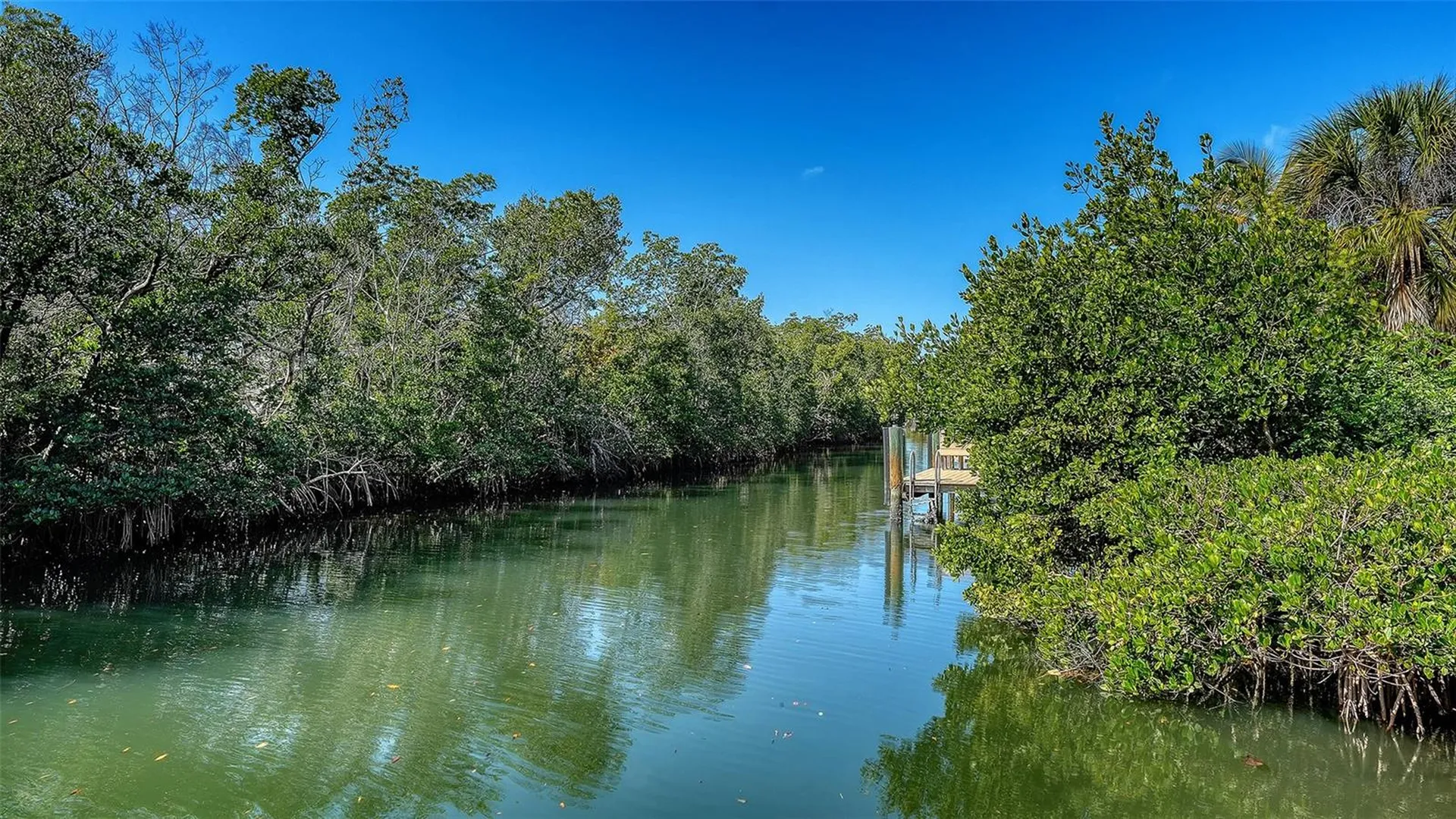 3131 Bayou Sound Longboat Key FL 34228