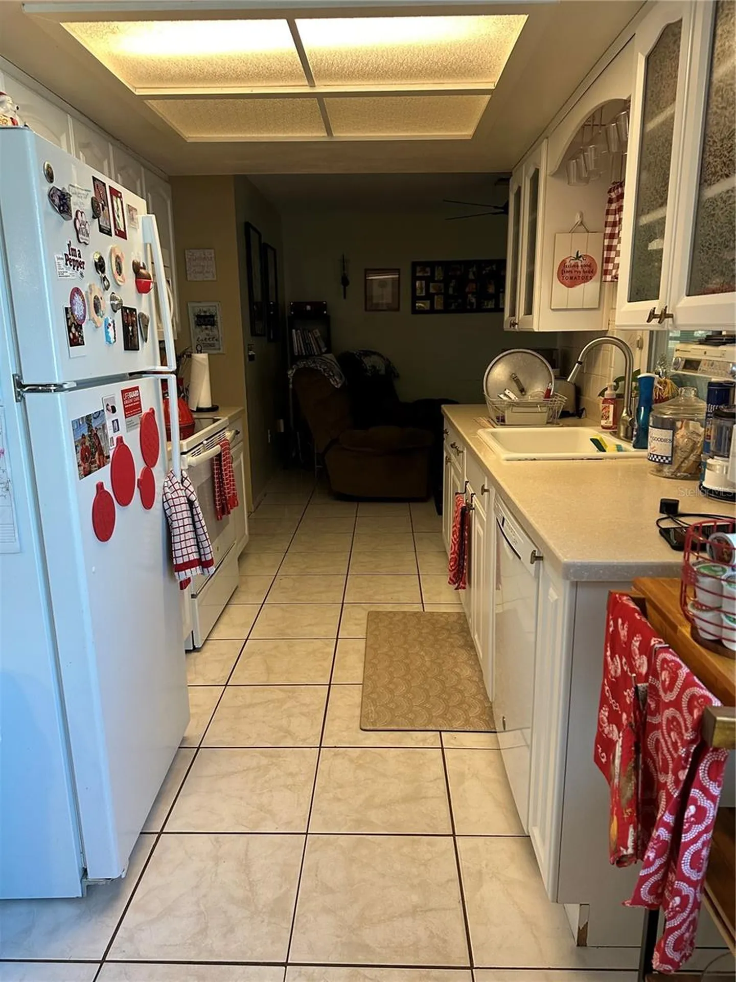 1427 Amy Circle Spring Hill FL 34606