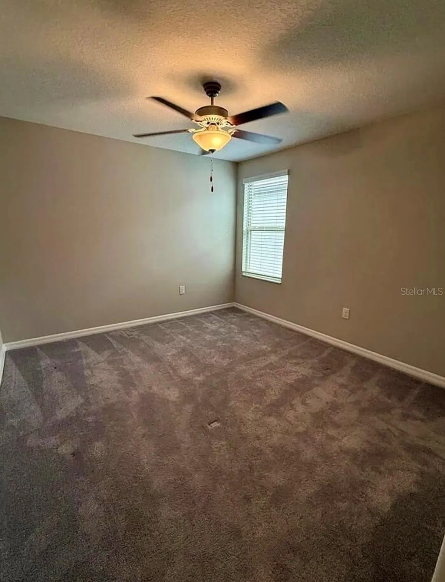 12957 Wildflower Meadow Drive Riverview FL 33579