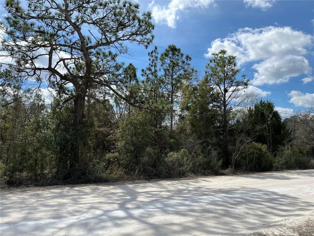 12270 Peaceful Avenue Weeki Wachee FL 34614