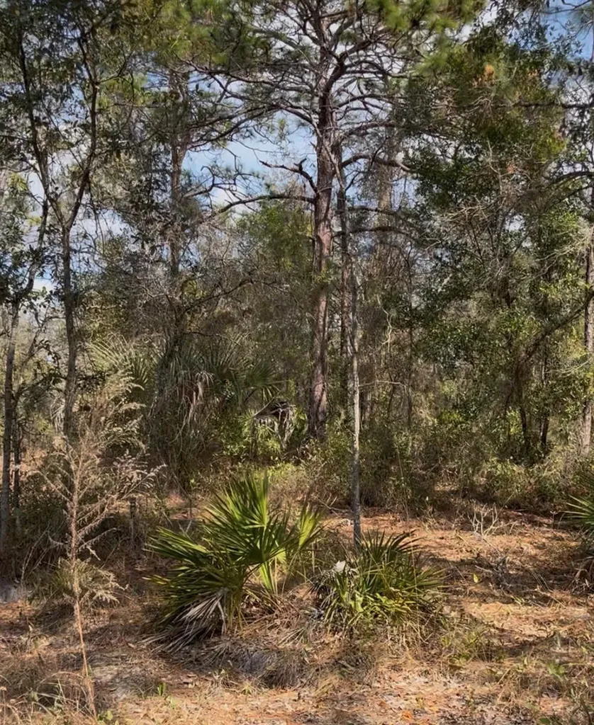 12270 Peaceful Avenue Weeki Wachee FL 34614