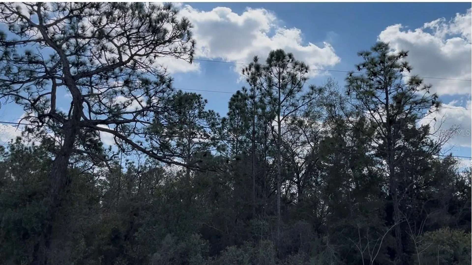12270 Peaceful Avenue Weeki Wachee FL 34614