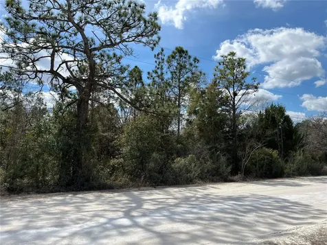 12270 Peaceful Avenue Weeki Wachee FL 34614