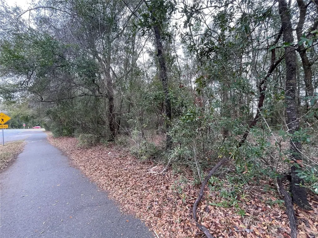 8717 SW Archer Road Gainesville FL 32608