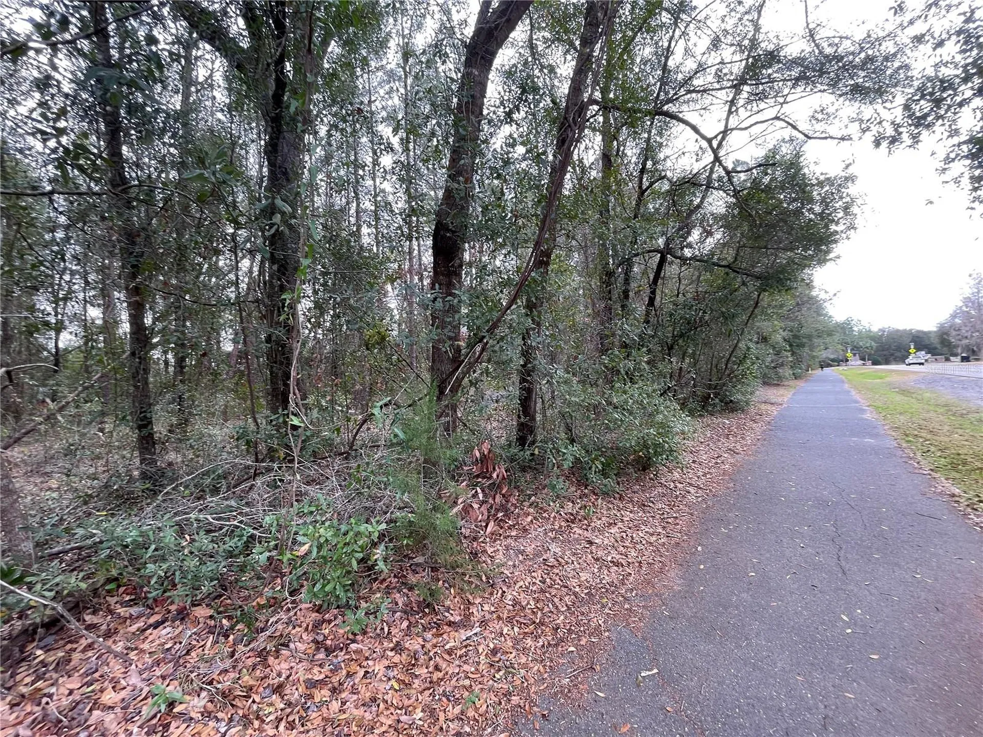8717 SW Archer Road Gainesville FL 32608