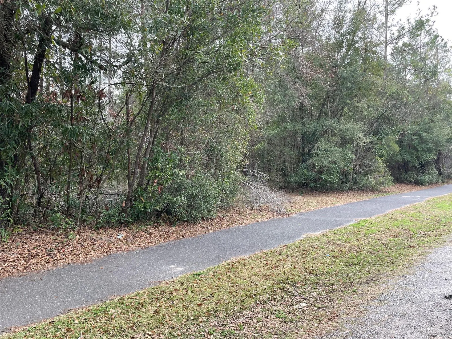 8717 SW Archer Road Gainesville FL 32608
